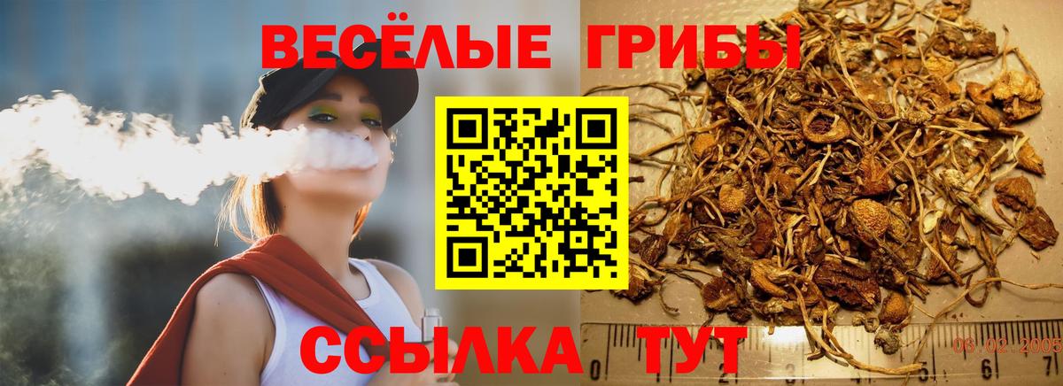 Вологда  Псилоцибиновые грибы мицелий  Вход с VPN 